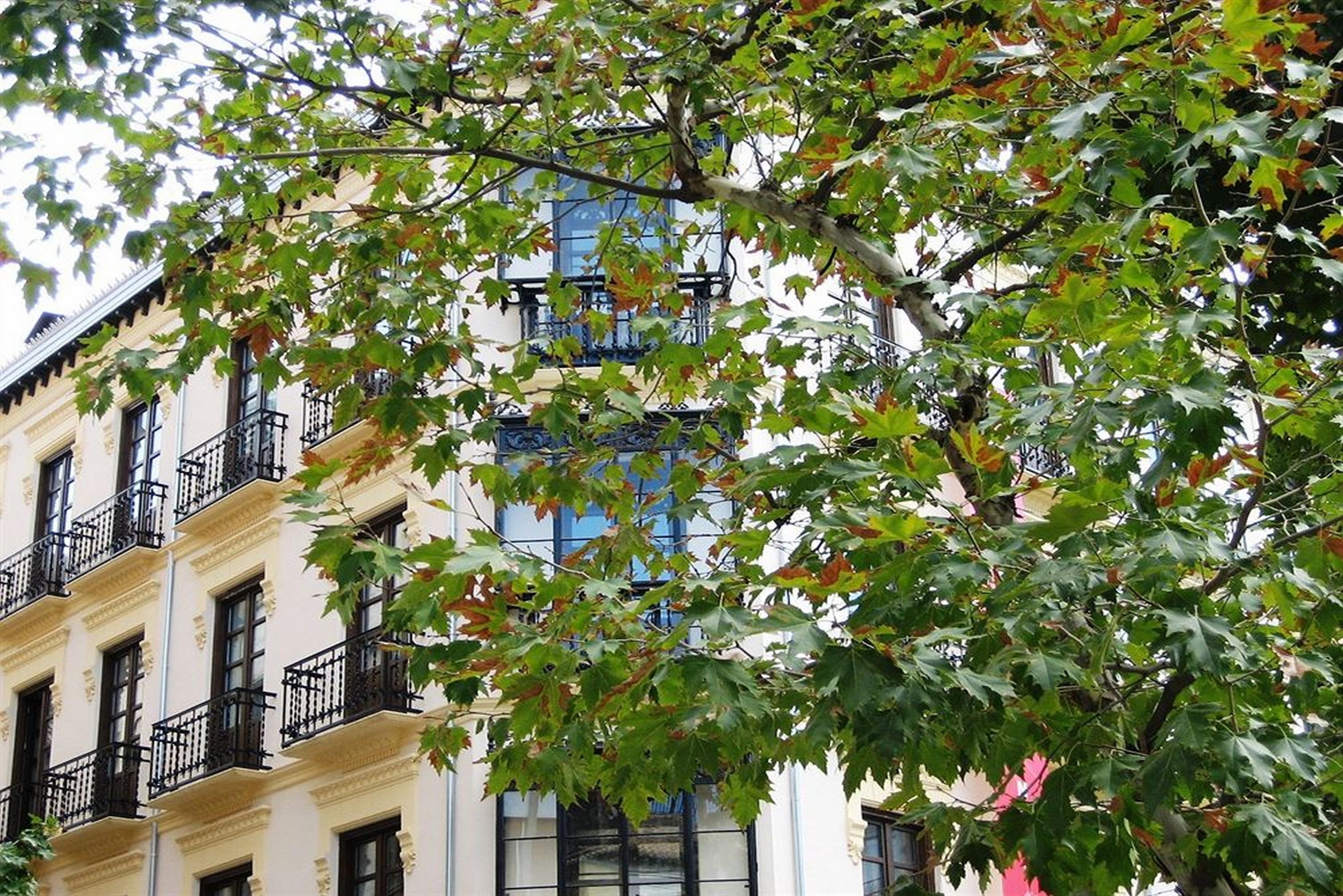 La Casa De La Trinidad Hotel Granada Exterior photo